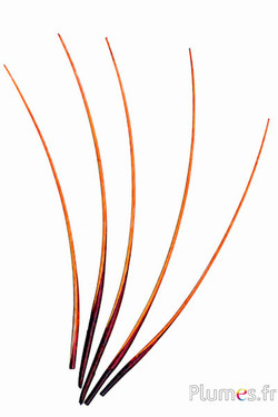 Zwaan schacht - 25-30 cm - chocolade-cognac